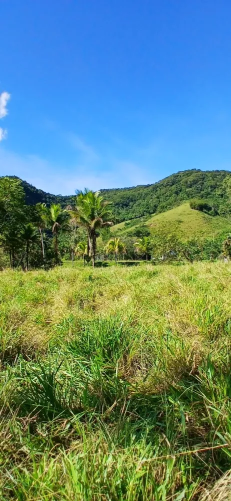 Fazenda, 257 m² - Foto 18