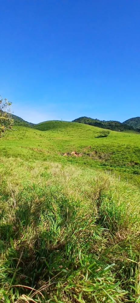 Fazenda, 257 m² - Foto 6
