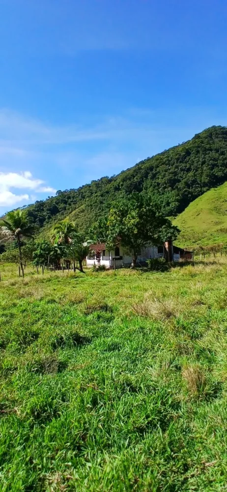 Fazenda, 257 m² - Foto 11
