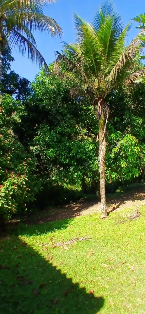 Fazenda, 257 m² - Foto 21