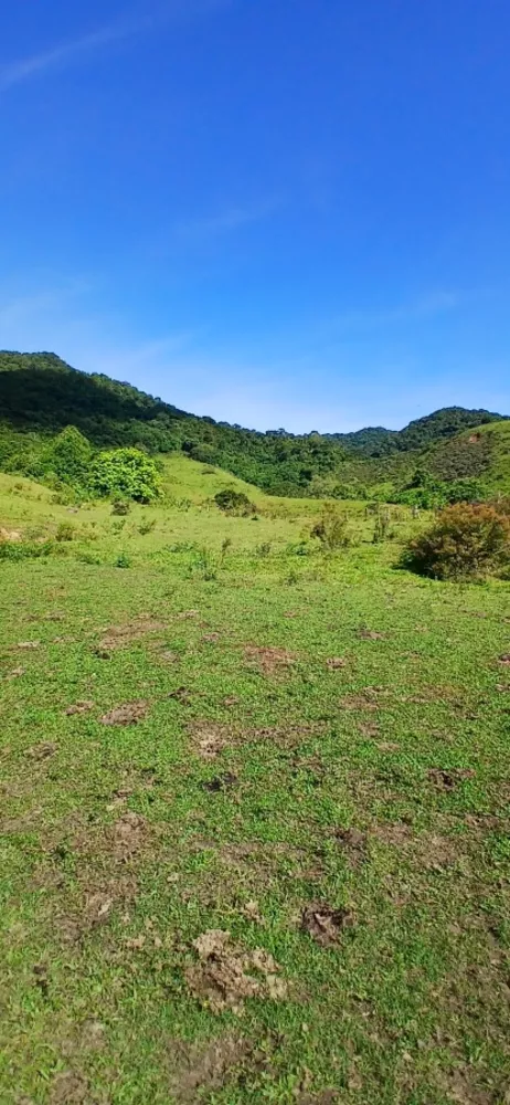 Fazenda, 257 m² - Foto 13