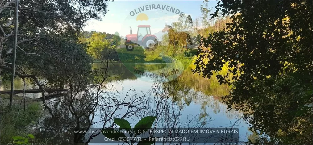 Fazenda-Sítio-Chácara, 20 hectares - Foto 31