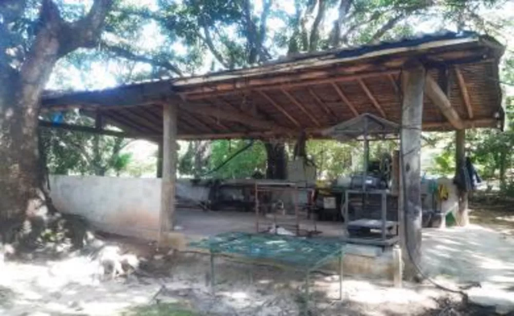 Sítio, 3 quartos, 3 hectares - Foto 4