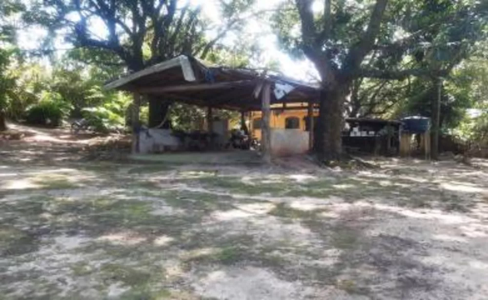 Sítio, 3 quartos, 3 hectares - Foto 5