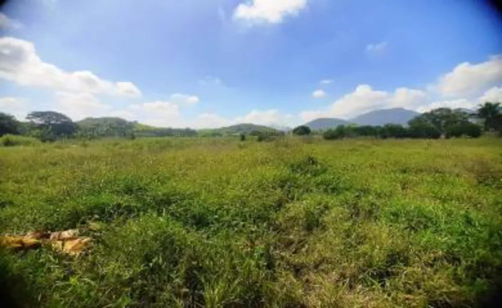 Sítio, 3 quartos, 3 hectares - Foto 6