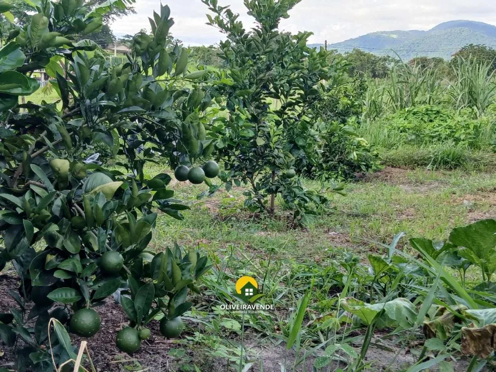 Sítio, 3 quartos, 1 hectares - Foto 35