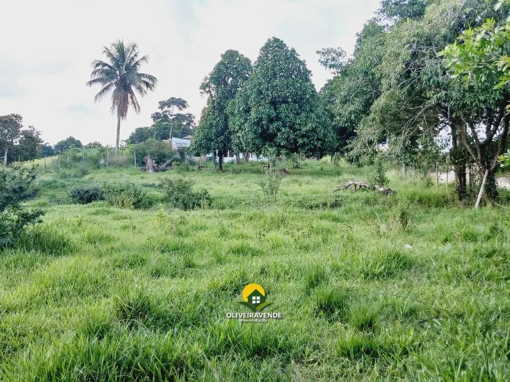 Sítio, 3 quartos, 1 hectares - Foto 43