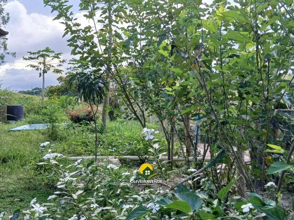 Sítio, 3 quartos, 1 hectares - Foto 38