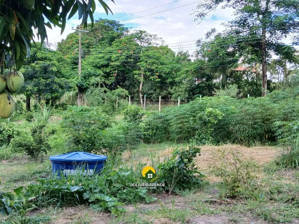 Sítio, 3 quartos, 1 hectares - Foto 30