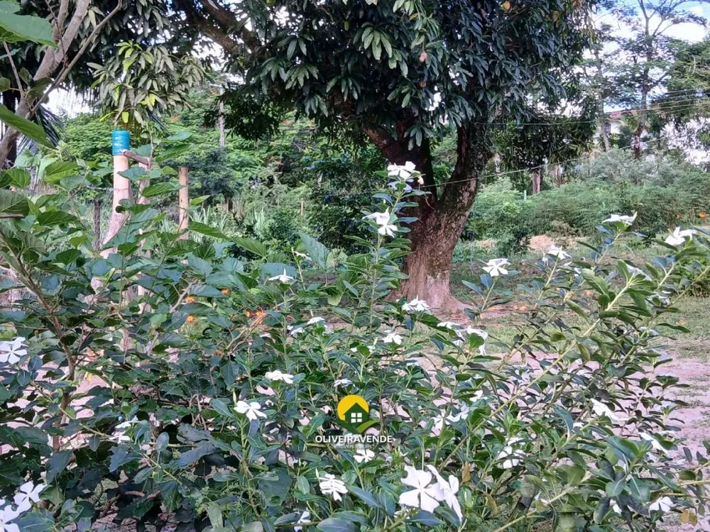 Sítio, 3 quartos, 1 hectares - Foto 40