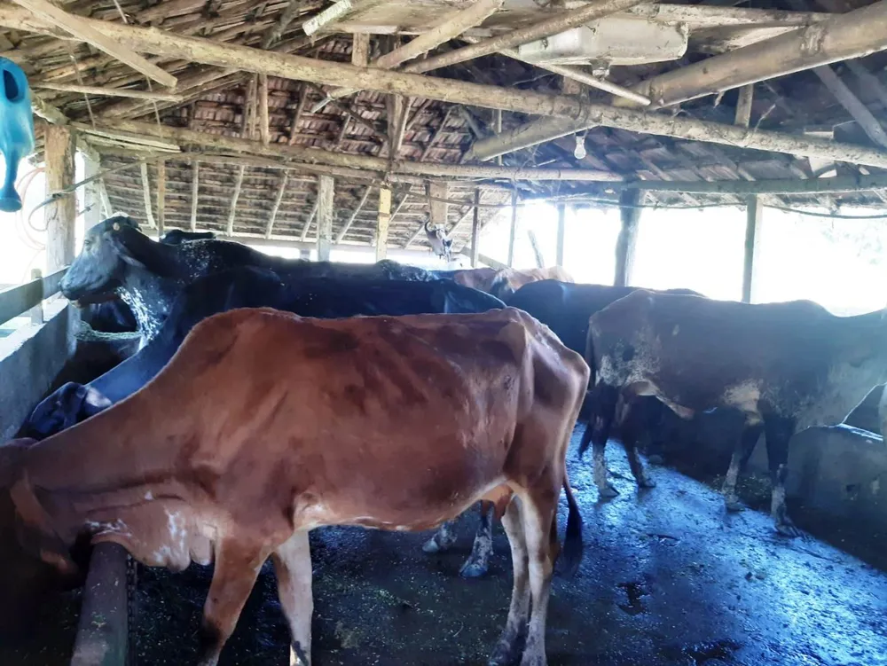 Sítio, 2 quartos, 27 hectares - Foto 47