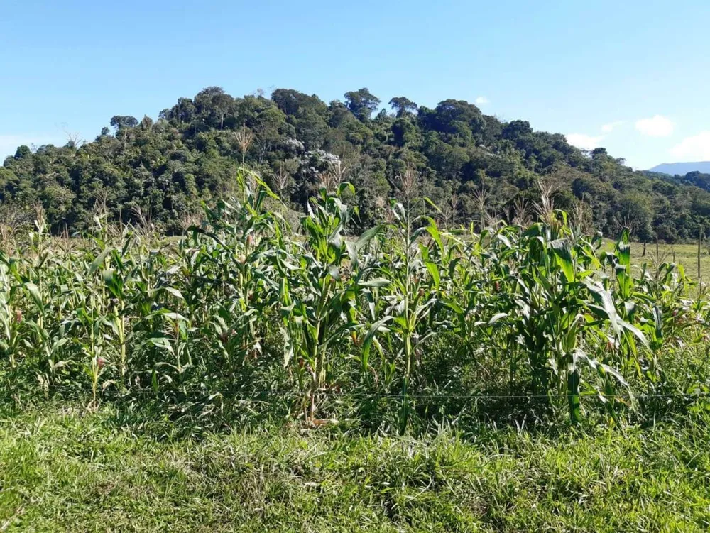 Sítio, 2 quartos, 27 hectares - Foto 32