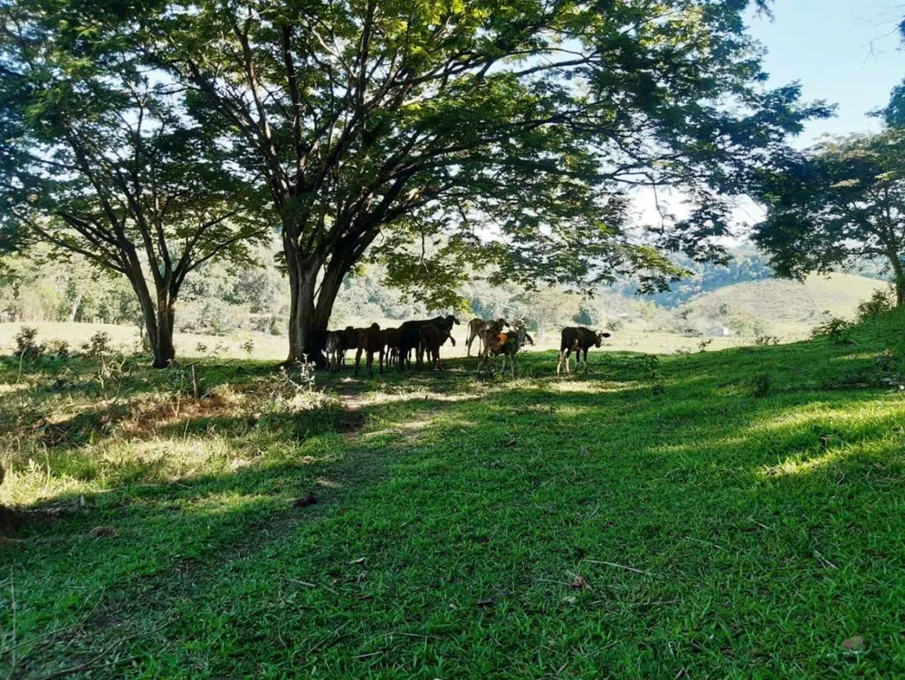 Sítio, 2 quartos, 27 hectares - Foto 44