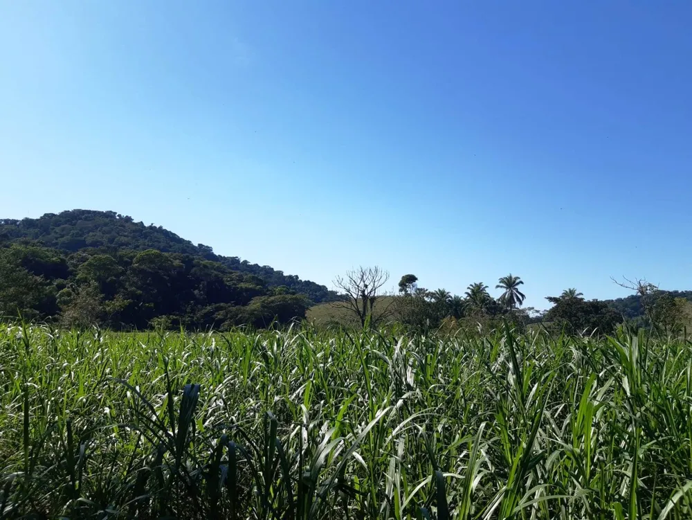 Sítio, 2 quartos, 27 hectares - Foto 41
