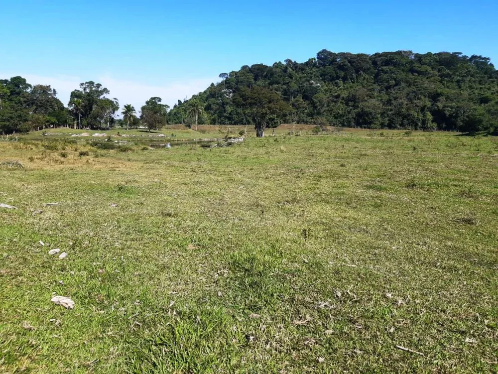 Sítio, 2 quartos, 27 hectares - Foto 32