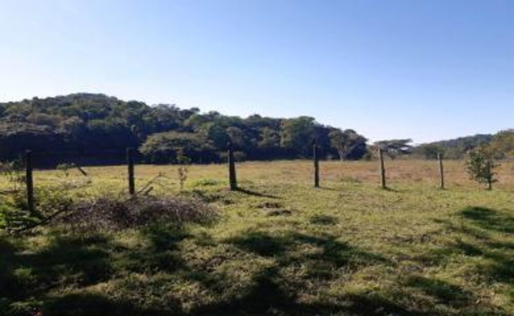 Sítio à venda com 2 quartos, 270000m² - Foto 6
