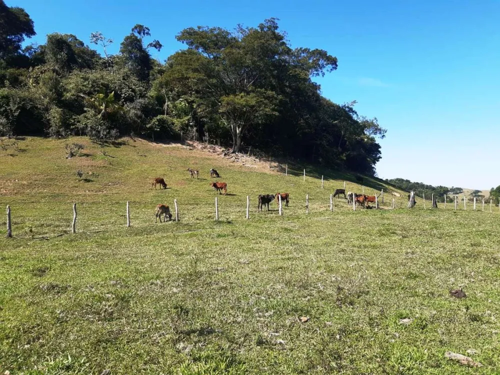 Sítio, 2 quartos, 27 hectares - Foto 45