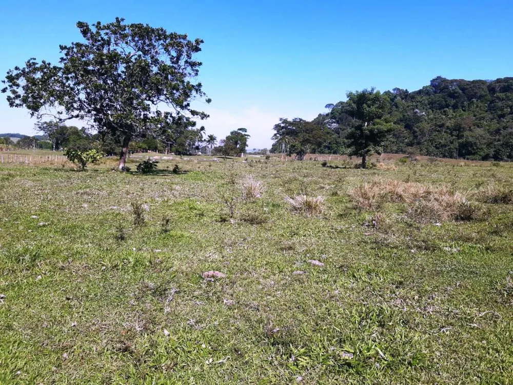 Sítio, 2 quartos, 27 hectares - Foto 42