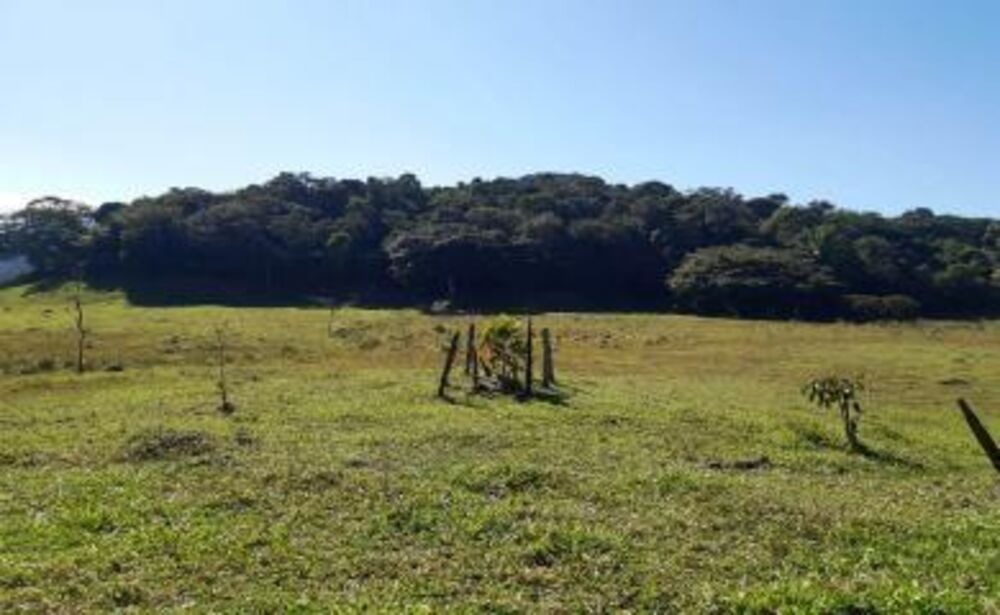 Sítio à venda com 2 quartos, 270000m² - Foto 9