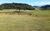 Sítio, 2 quartos, 27 hectares - Foto 13