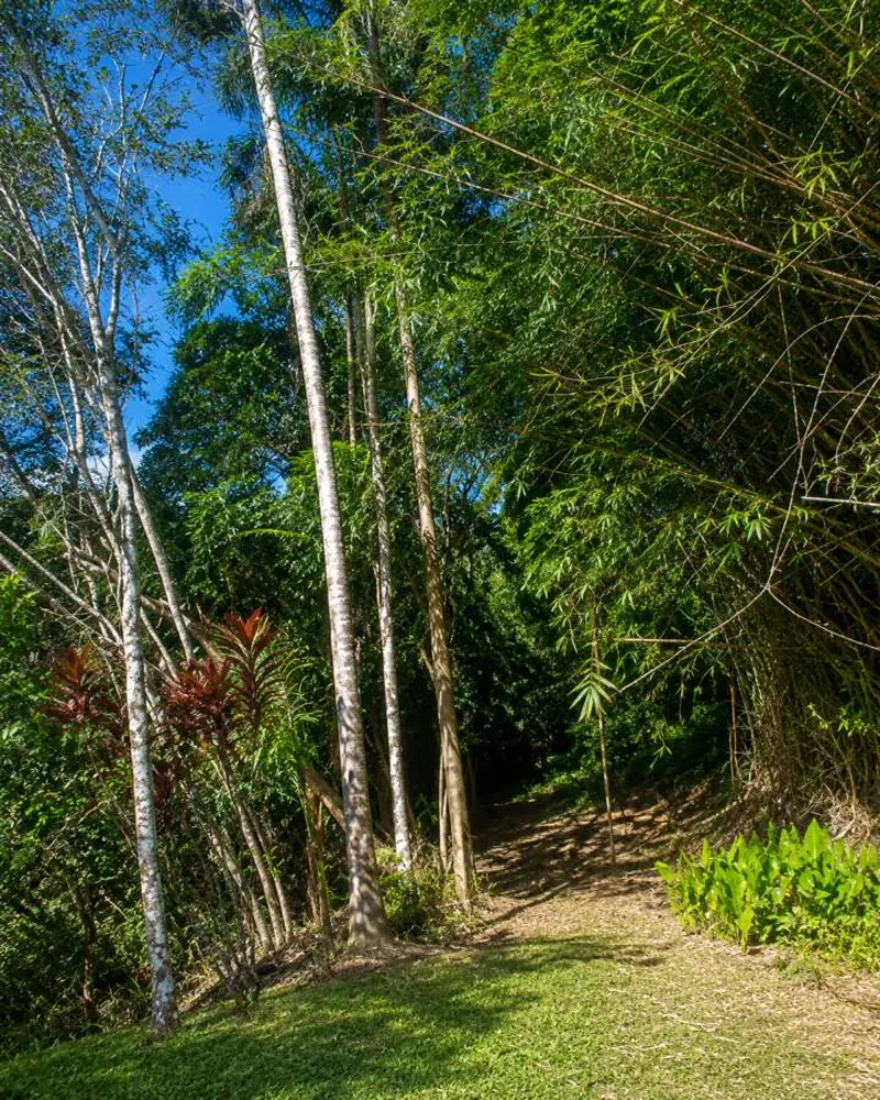 Fazenda, 280 m² - Foto 27