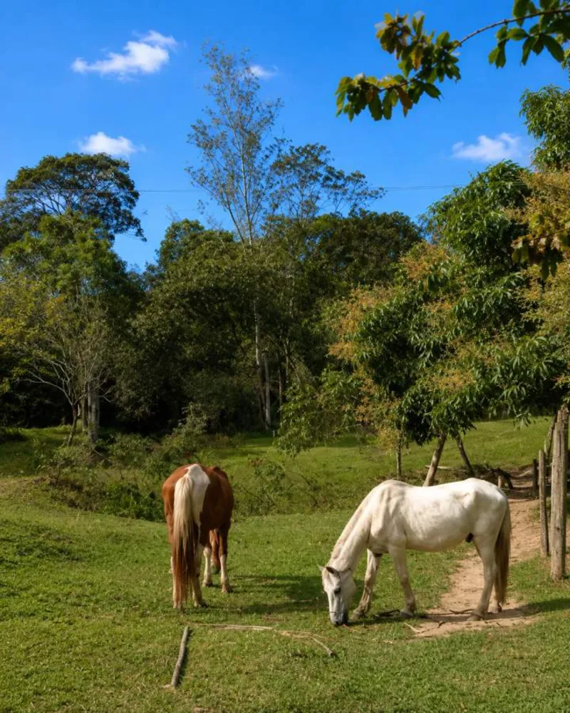 Fazenda, 280 m² - Foto 68