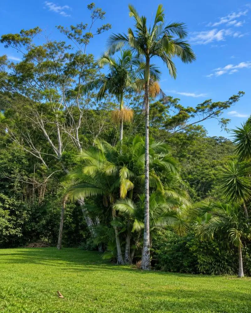 Fazenda, 280 m² - Foto 20