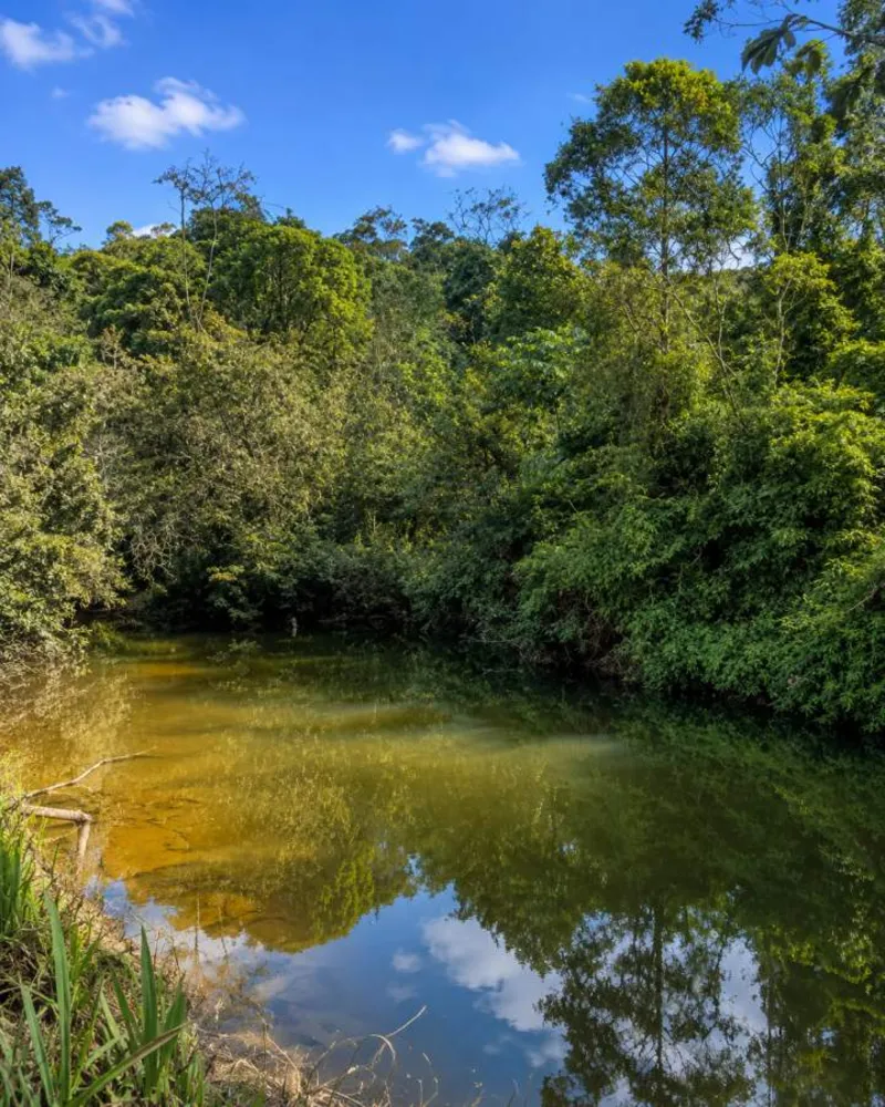 Fazenda, 280 m² - Foto 60