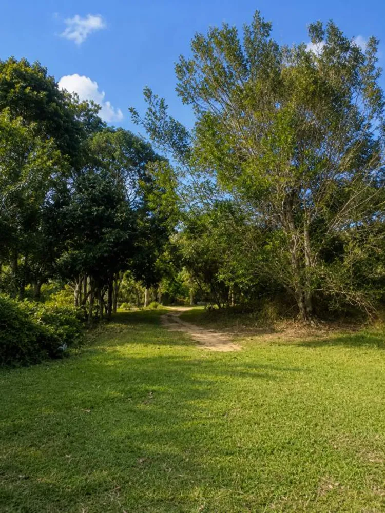 Fazenda, 280 m² - Foto 72