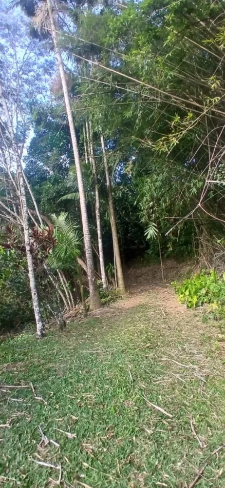 Sítio, 5 quartos, 280 m² - Foto 34