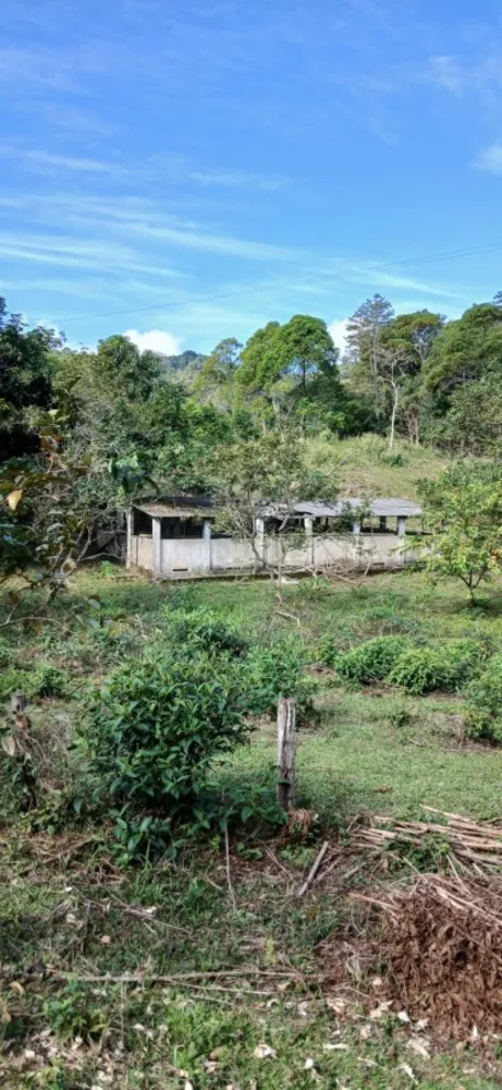 Sítio, 5 quartos, 280 m² - Foto 35