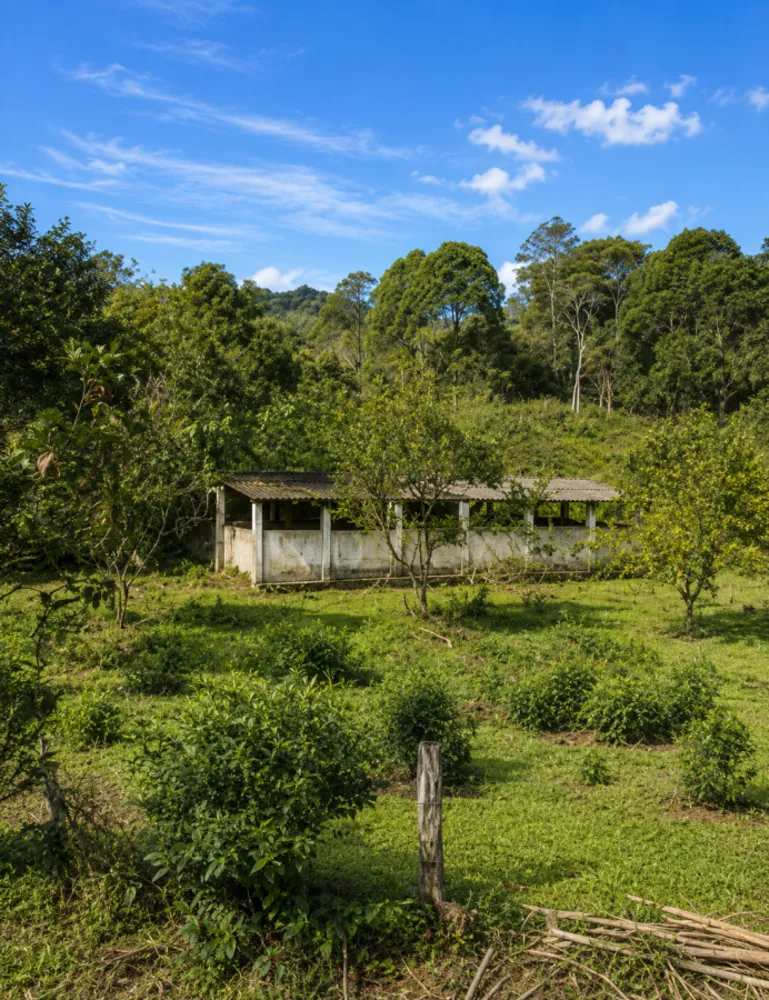 Fazenda, 280 m² - Foto 71