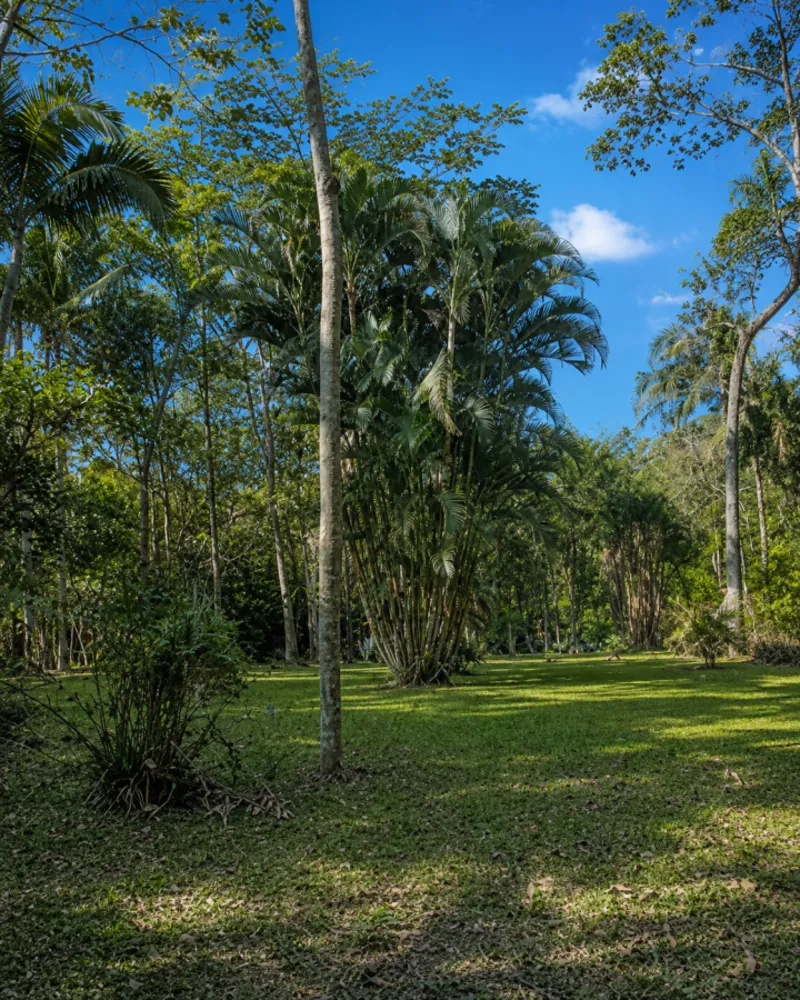 Fazenda, 280 m² - Foto 65