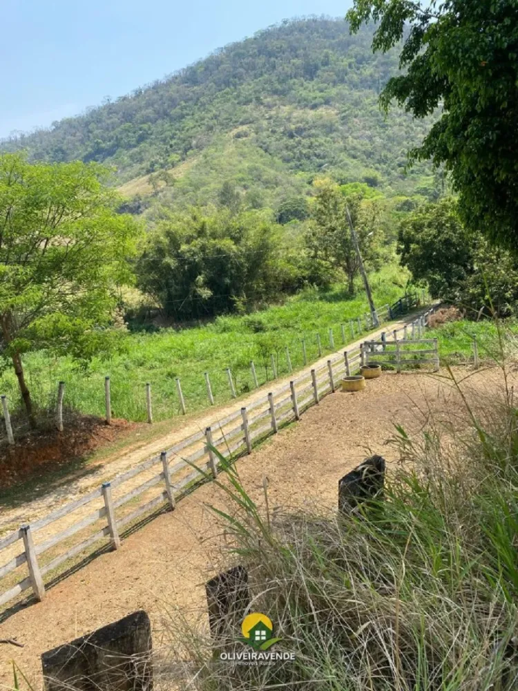 Chácara, 4 quartos, 5 hectares - Foto 26