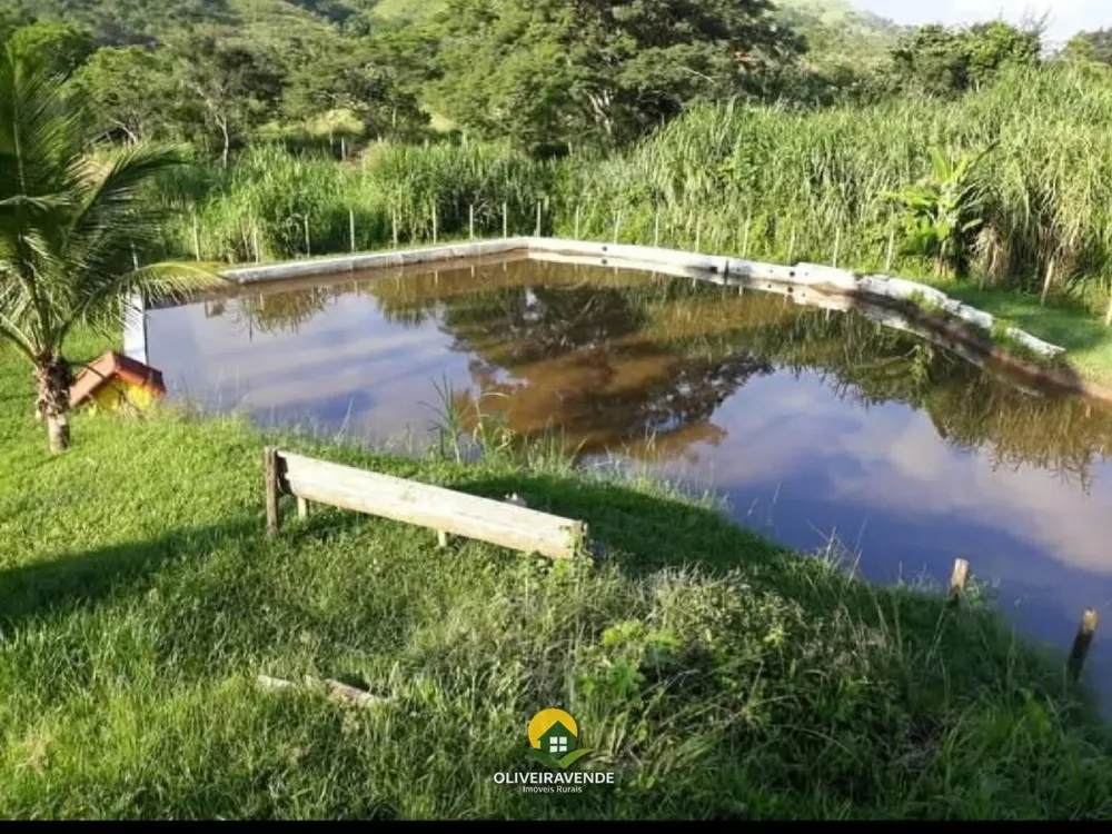 Chácara, 4 quartos, 5 hectares - Foto 3