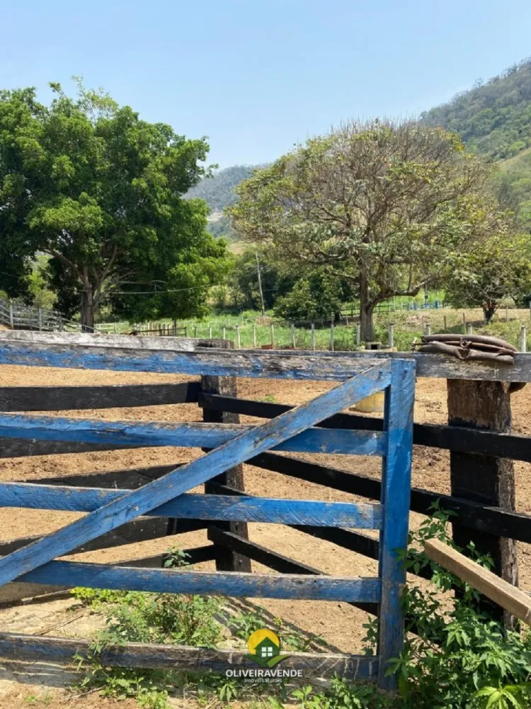 Chácara, 4 quartos, 5 hectares - Foto 24