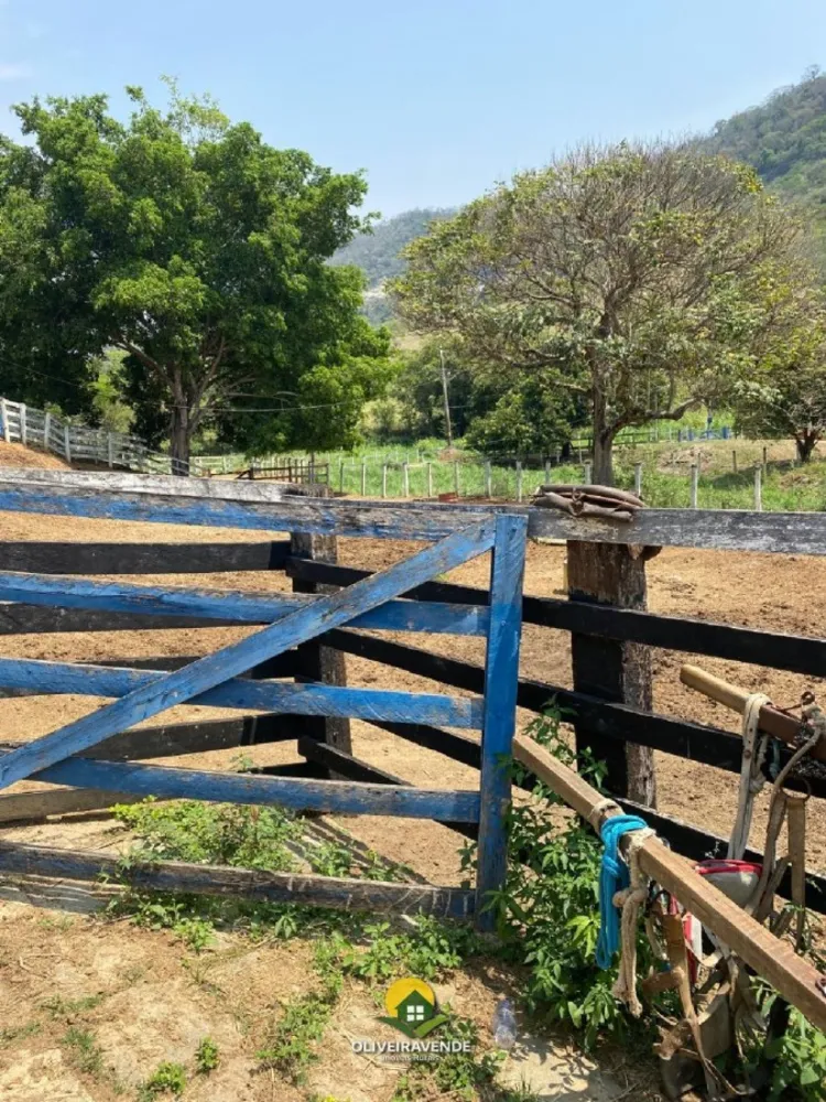 Chácara, 4 quartos, 5 hectares - Foto 35