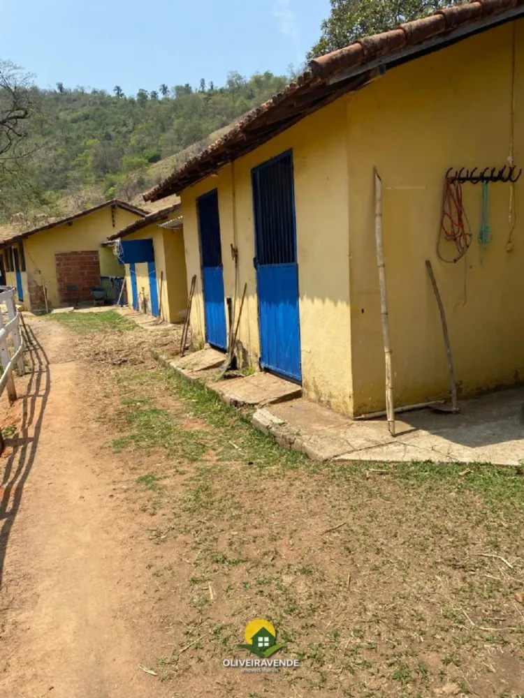 Chácara, 4 quartos, 5 hectares - Foto 36