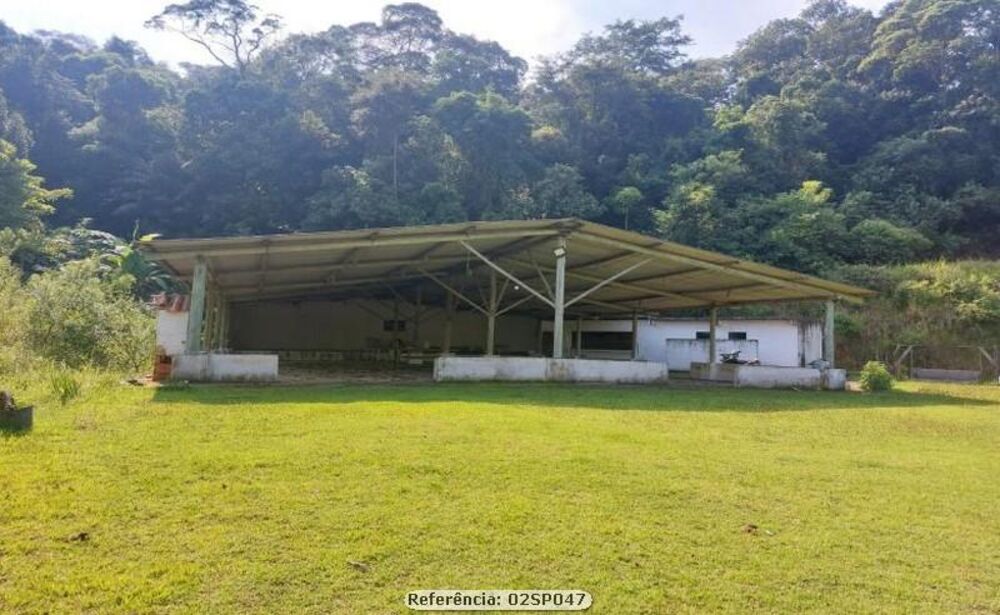 Sítio, 4 quartos, 8 hectares - Foto 10
