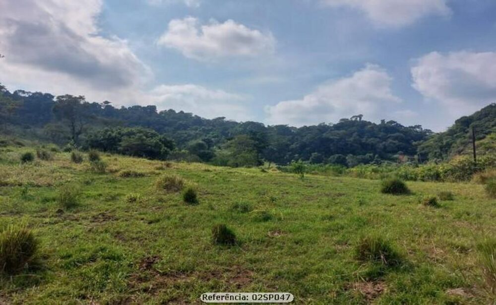 Sítio, 4 quartos, 8 hectares - Foto 19