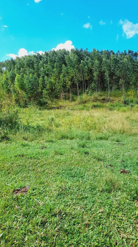 Fazenda, 17 m² - Foto 14