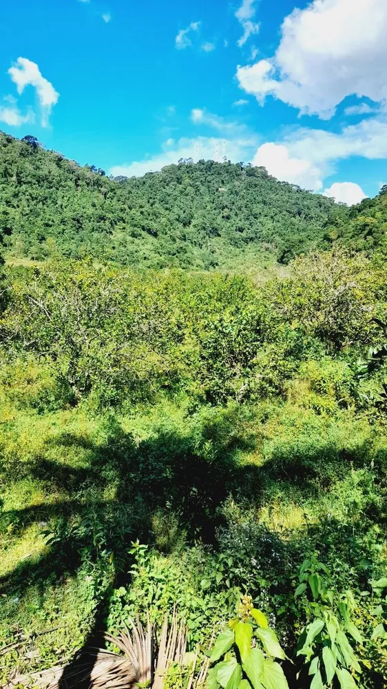 Fazenda, 17 m² - Foto 18