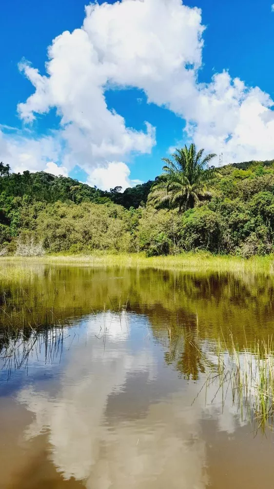 Fazenda, 17 m² - Foto 13