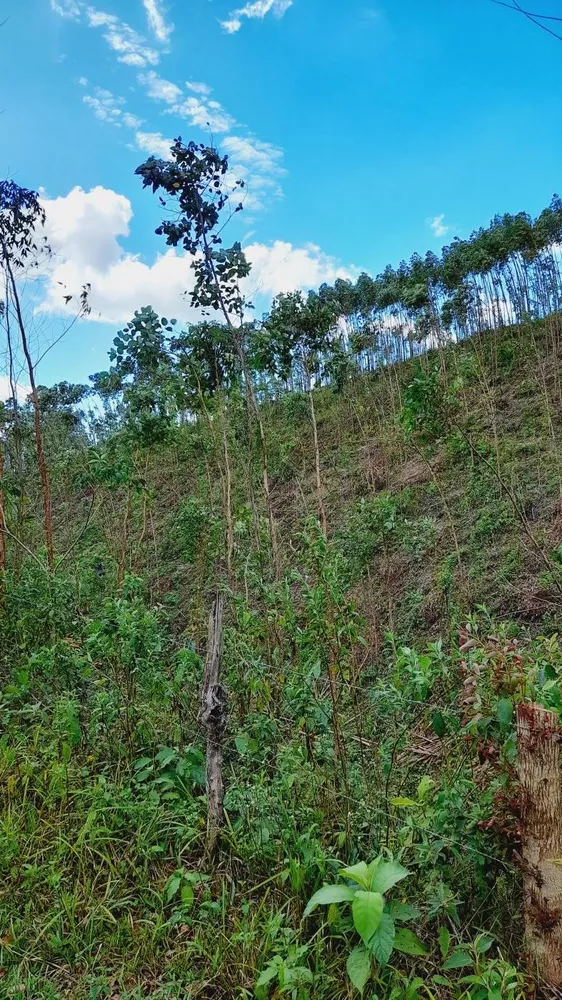 Fazenda, 17 m² - Foto 23