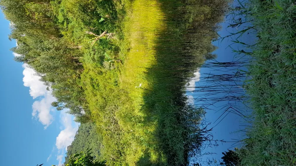 Fazenda, 17 m² - Foto 22