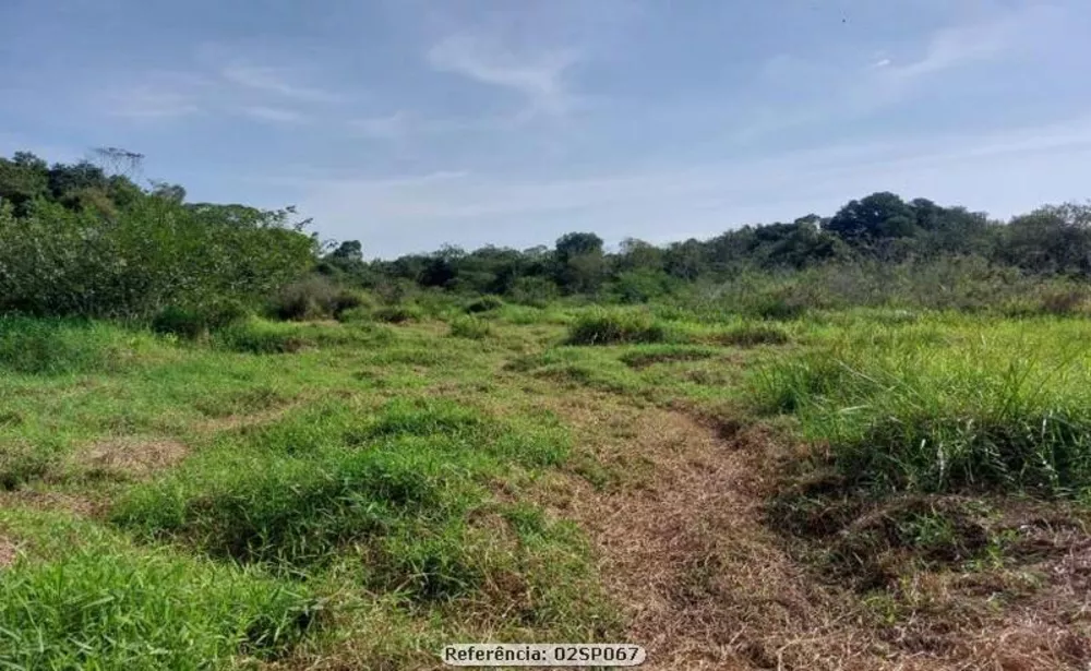 Sítio, 2 quartos, 10 hectares - Foto 11