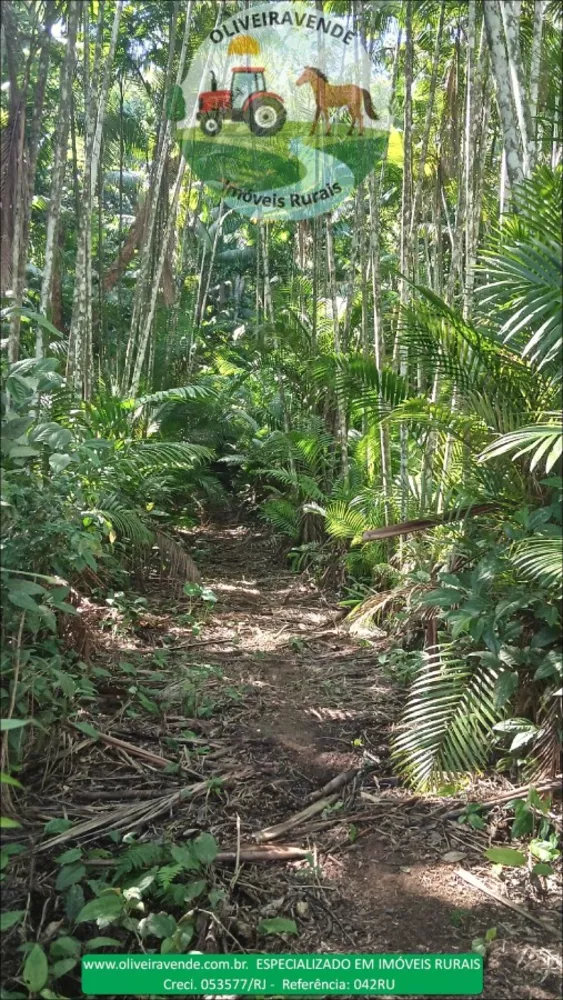 Fazenda, 96 m² - Foto 35
