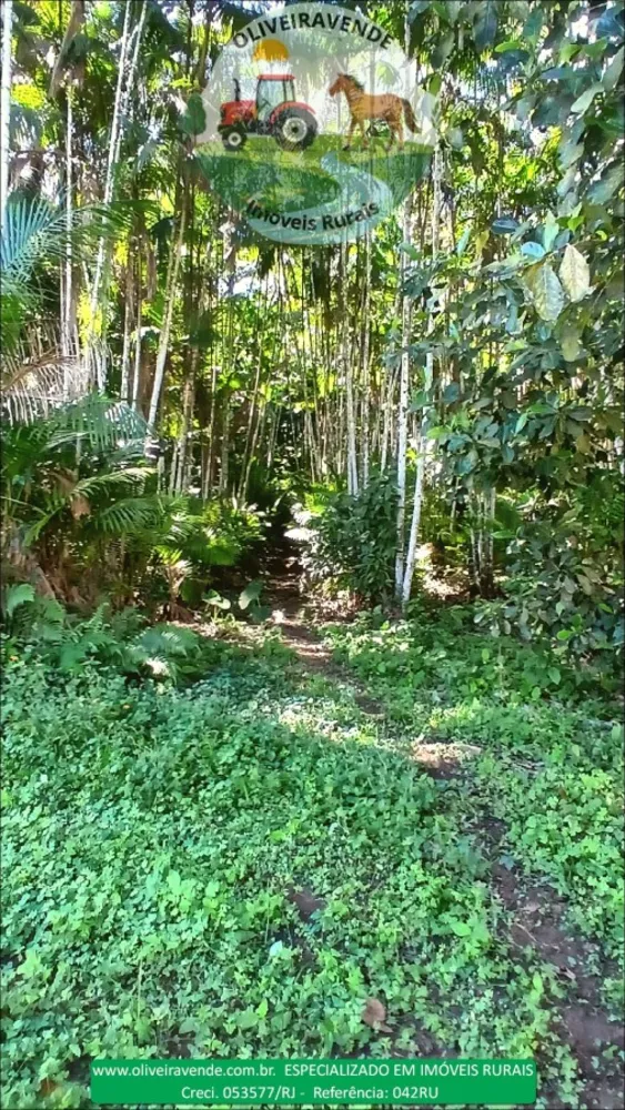 Fazenda, 96 m² - Foto 38