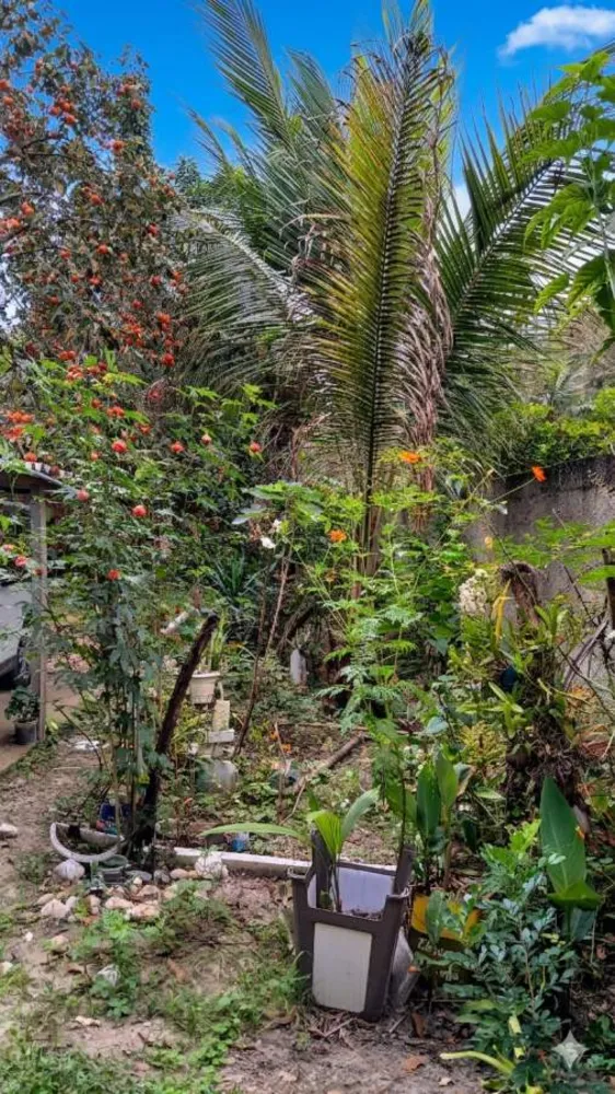 Chácara, 3 quartos, 2500 m² - Foto 8