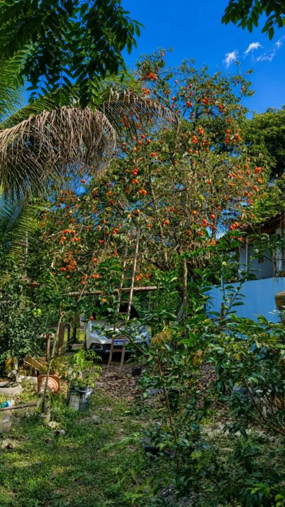 Chácara, 3 quartos, 2500 m² - Foto 20